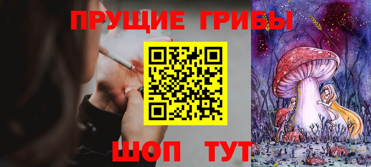 Протвино  Псилоцибиновые грибы мухоморы  Вход с VPN 